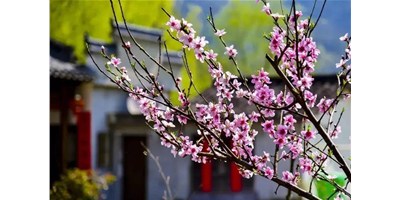阳春三月，尊龙凯时一大波展会即将来袭，您准备好了吗？